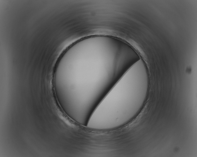 X0000096640846200802050956