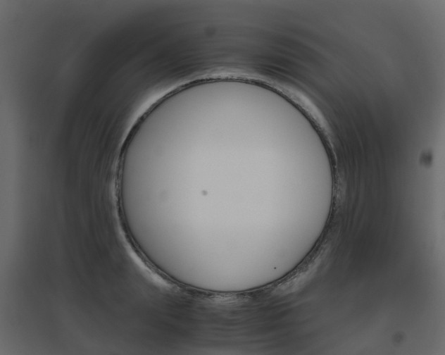X0000096640847200802050956