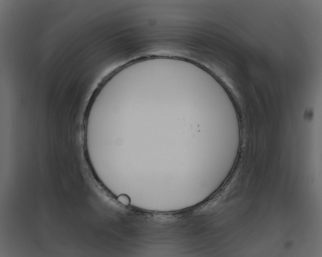 X0000096640848200802050956