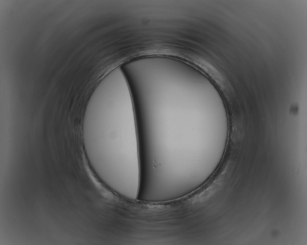 X0000096640849200802050956