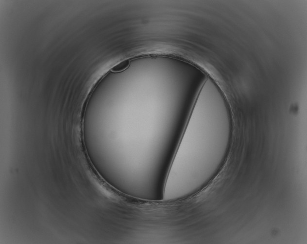 X0000096640850200802050956