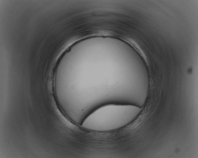X0000096640851200802050956