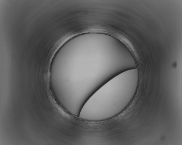 X0000096640852200802050956