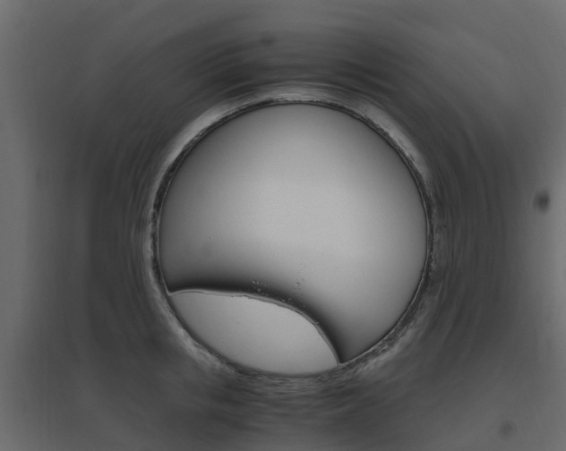X0000096640853200802050956