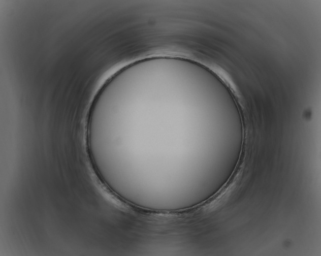 X0000096640854200802050956