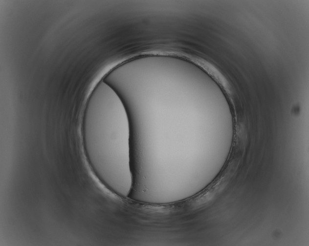 X0000096640855200802050956