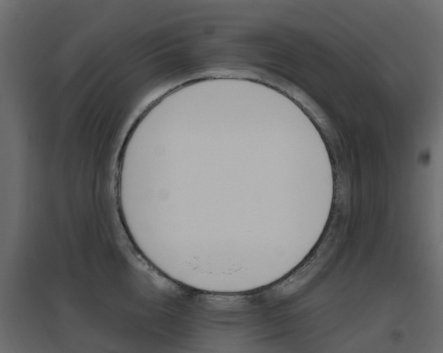 X0000096640856200802050956