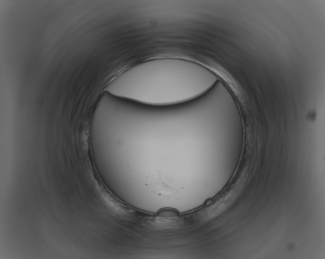 X0000096640857200802050956