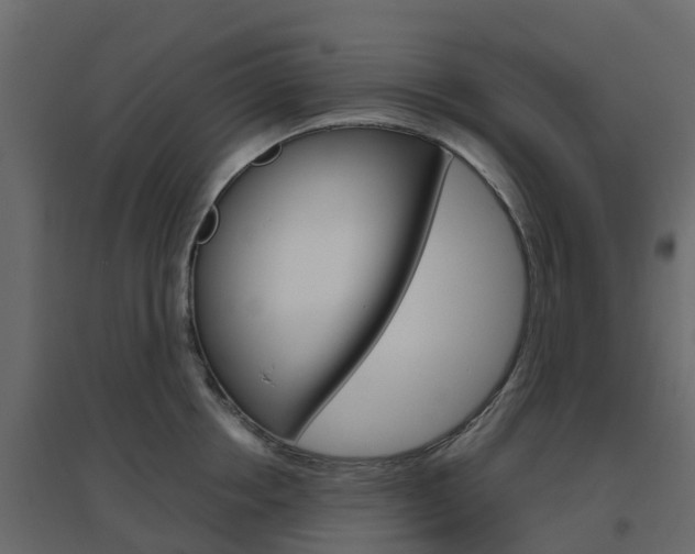 X0000096640858200802050956