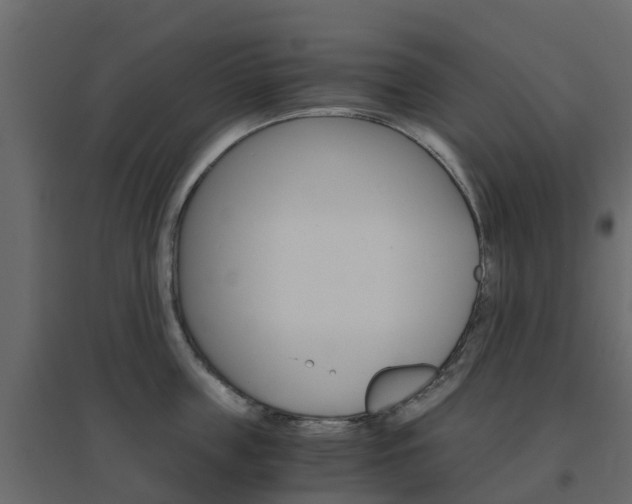 X0000096640859200802050956