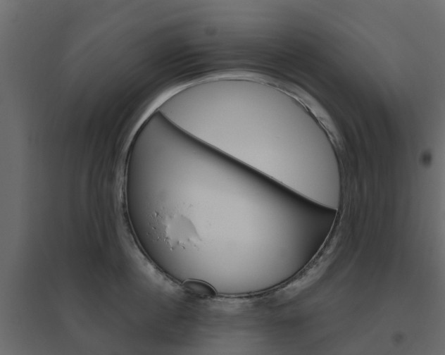 X0000096640860200802050956