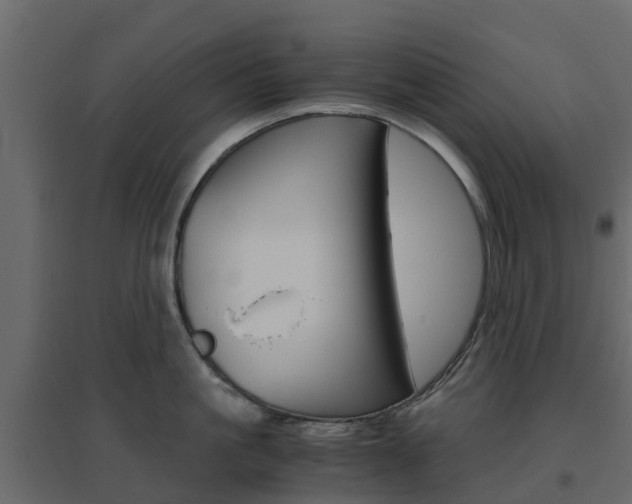 X0000096640861200802050956