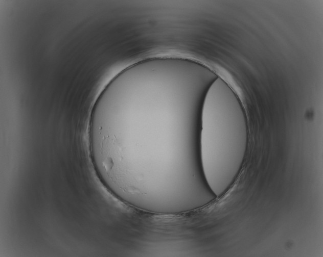 X0000096640863200802050956