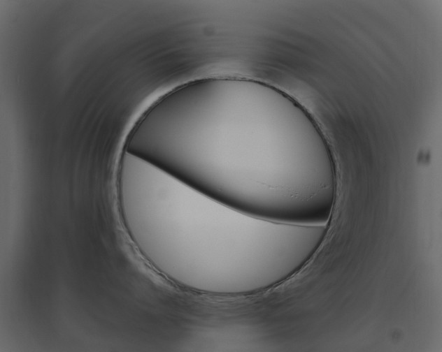 X0000096640864200802050956