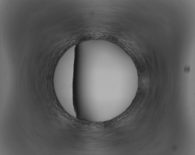 X0000096640865200802050955