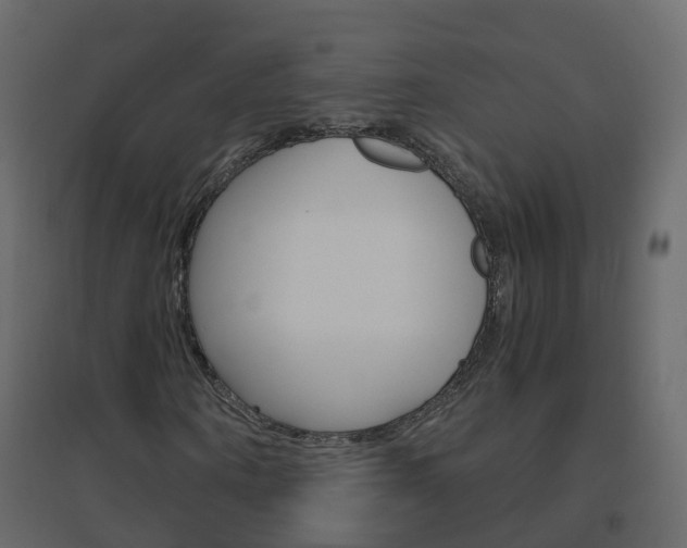 X0000096640866200802050955