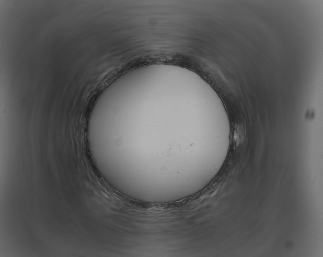 X0000096640867200802050955