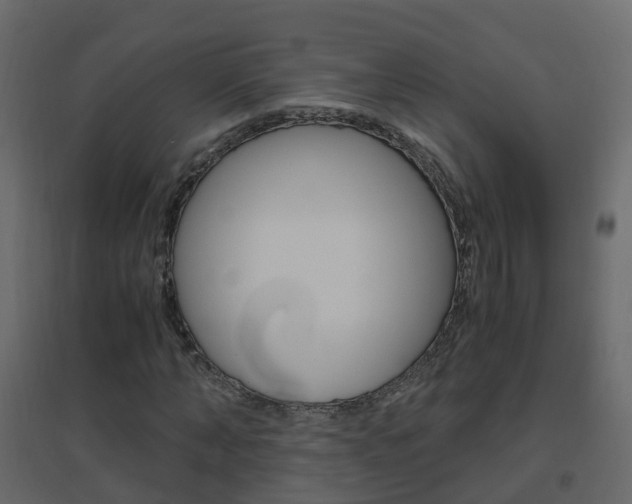 X0000096640870200802050955