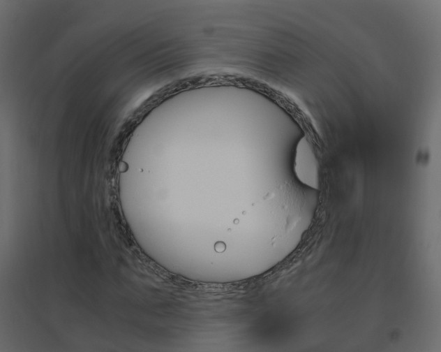 X0000096640871200802050955
