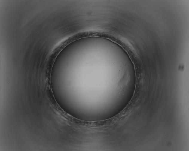 X0000096640872200802050955
