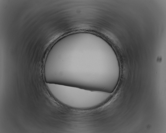 X0000096640873200802050955