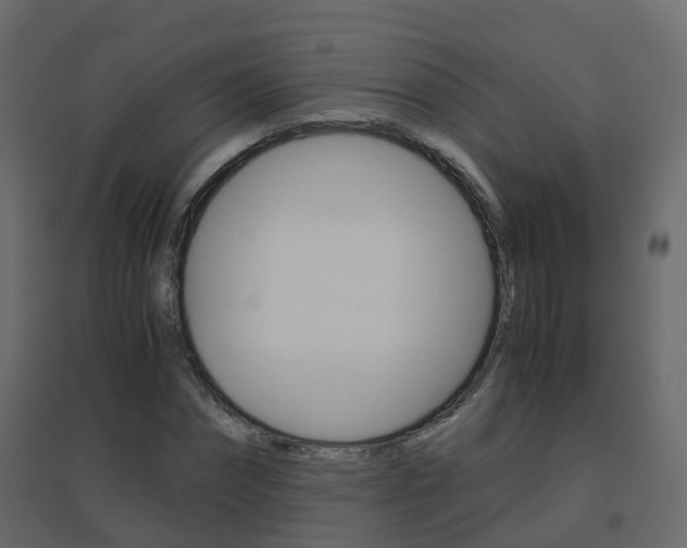 X0000096640874200802050955