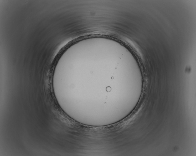 X0000096640875200802050955
