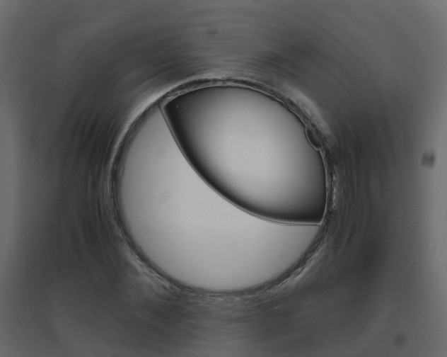 X0000096640876200802050955