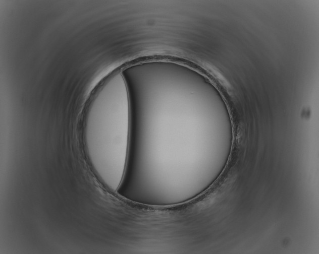 X0000096640877200802050955