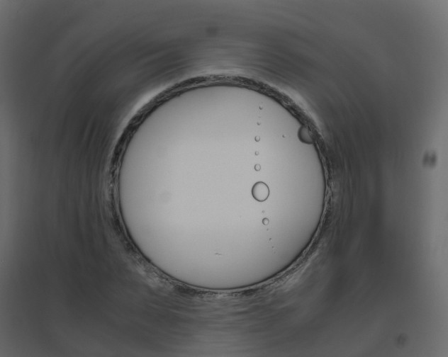 X0000096640879200802050955