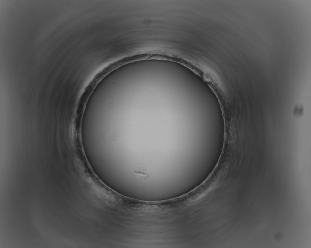 X0000096640880200802050955