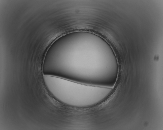 X0000096640881200802050955