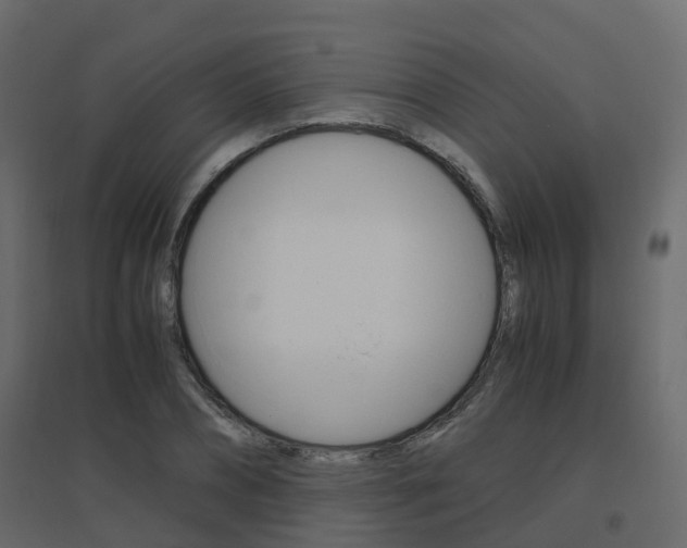 X0000096640882200802050955