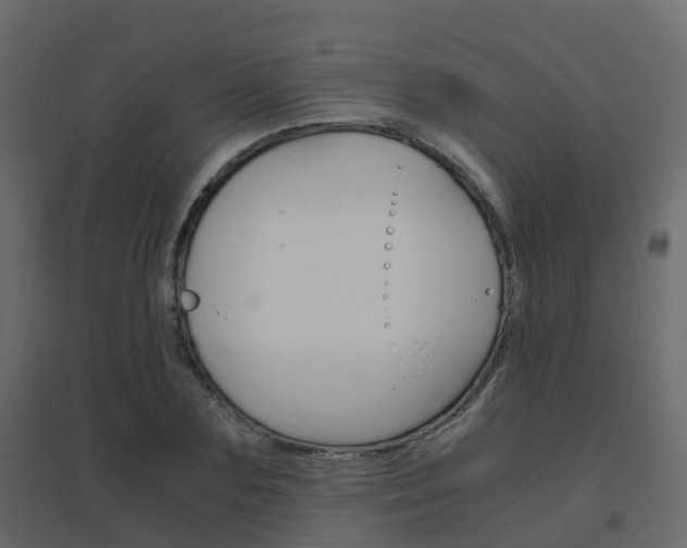 X0000096640883200802050955