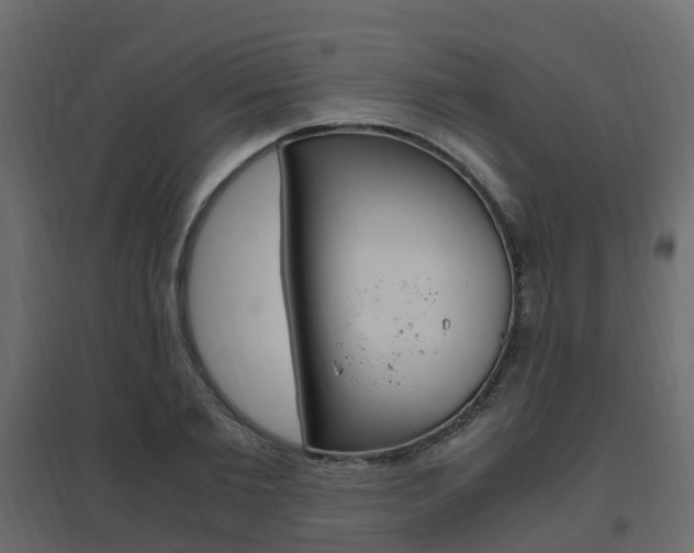 X0000096640885200802050955
