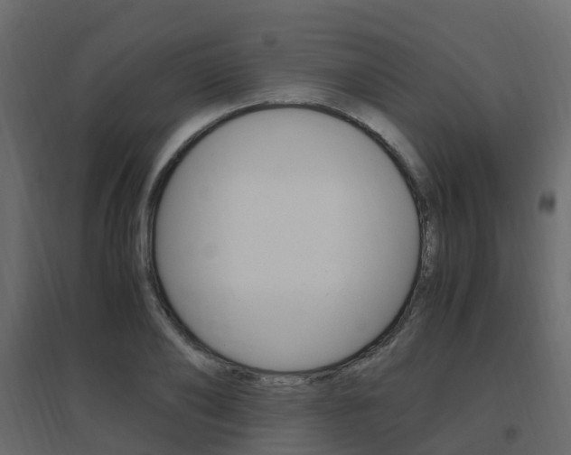 X0000096640886200802050955