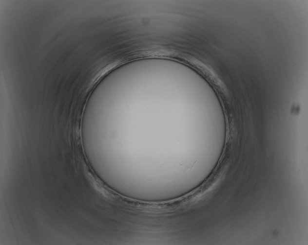 X0000096640889200802050955