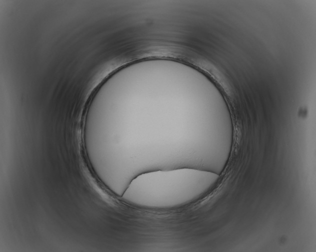 X0000096640890200802050955