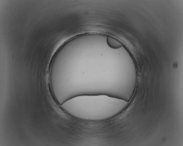 X0000096640891200802050955