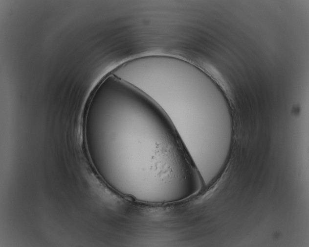 X0000096640892200802050955