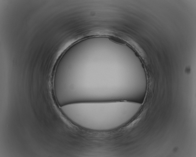X0000096640893200802050955