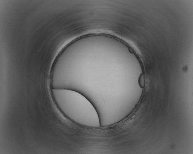 X0000096640895200802050955