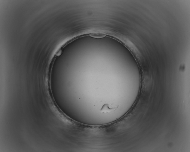 X0000096640896200802050955