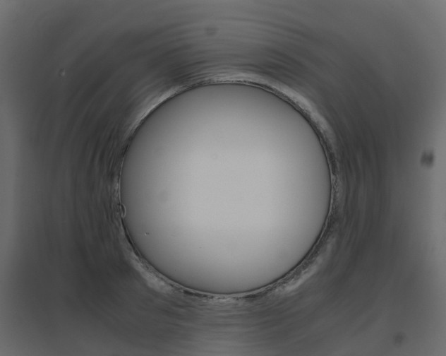 X0000096640897200802050955