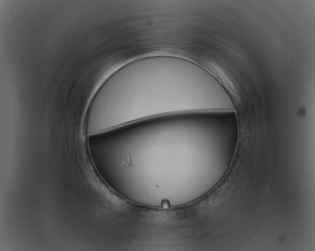 X0000096640900200802050955