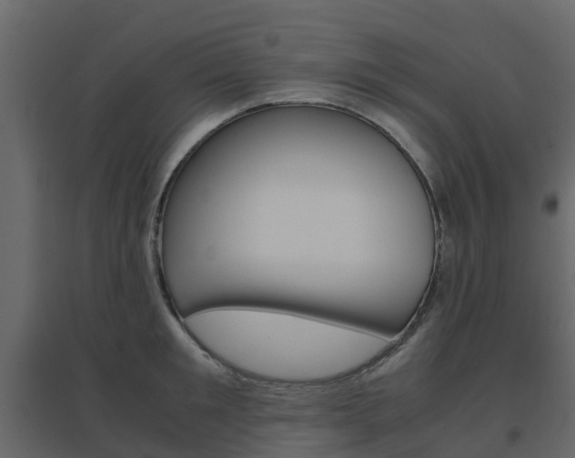 X0000096640901200802050955
