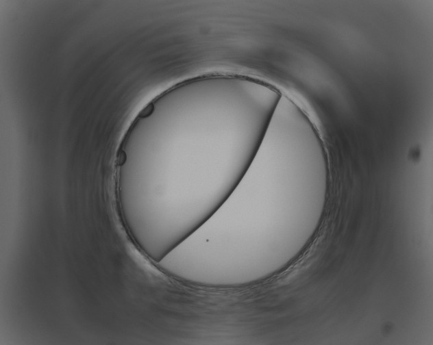 X0000096640903200802050955