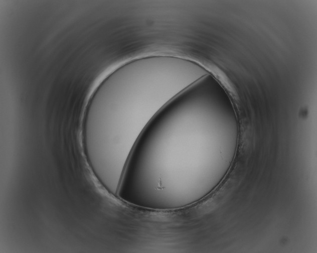 X0000096640904200802050955