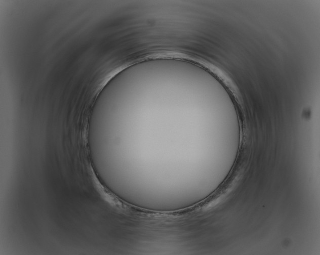 X0000096640905200802050955