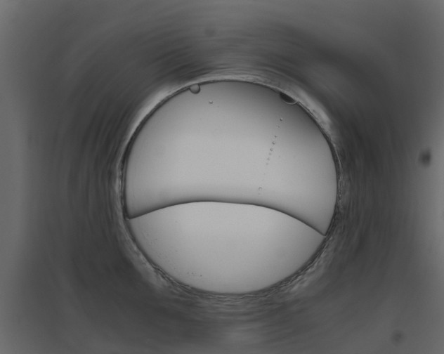 X0000096640907200802050955